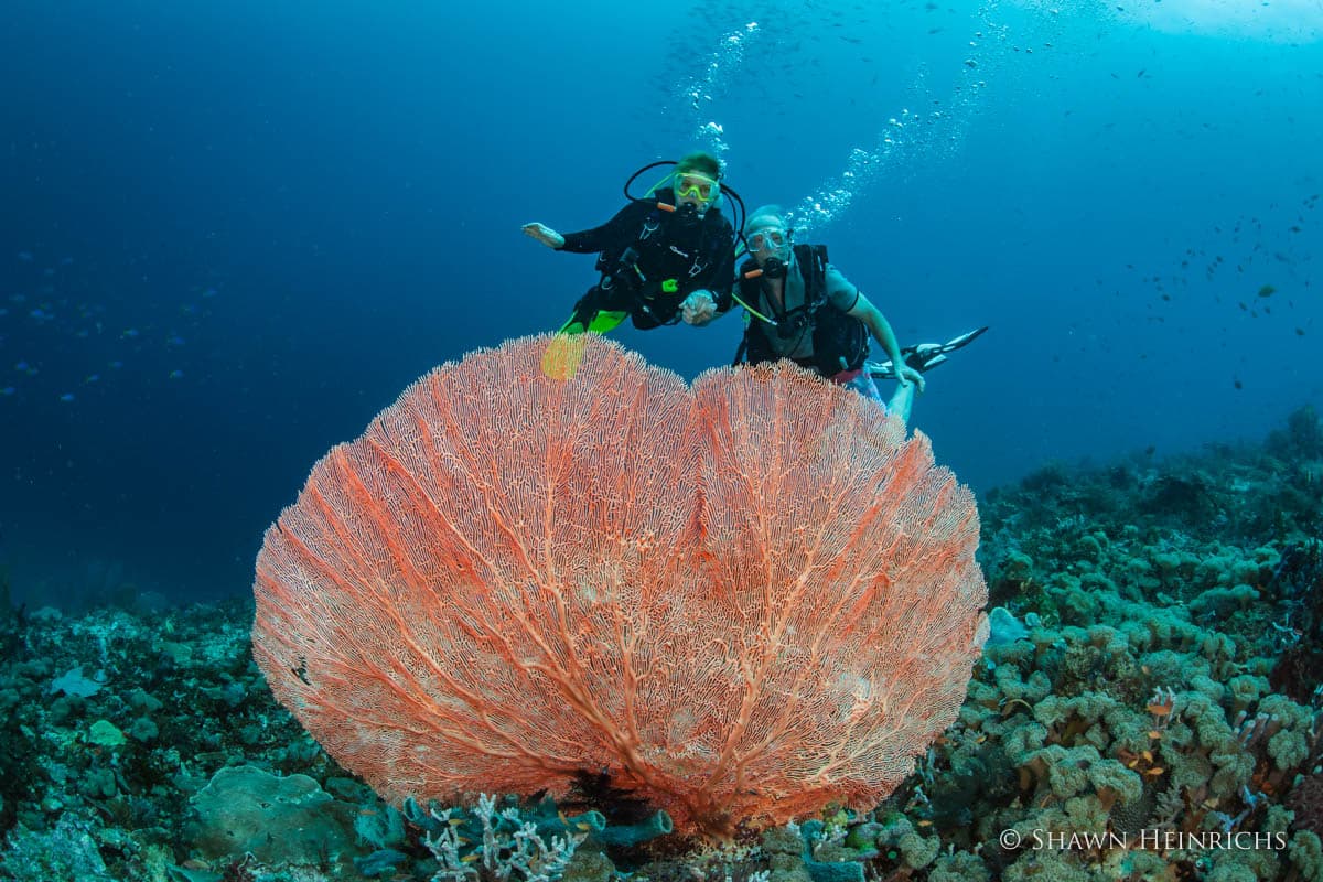 Silolona 23