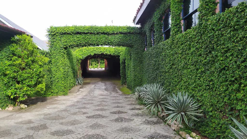 La Hasienda 31