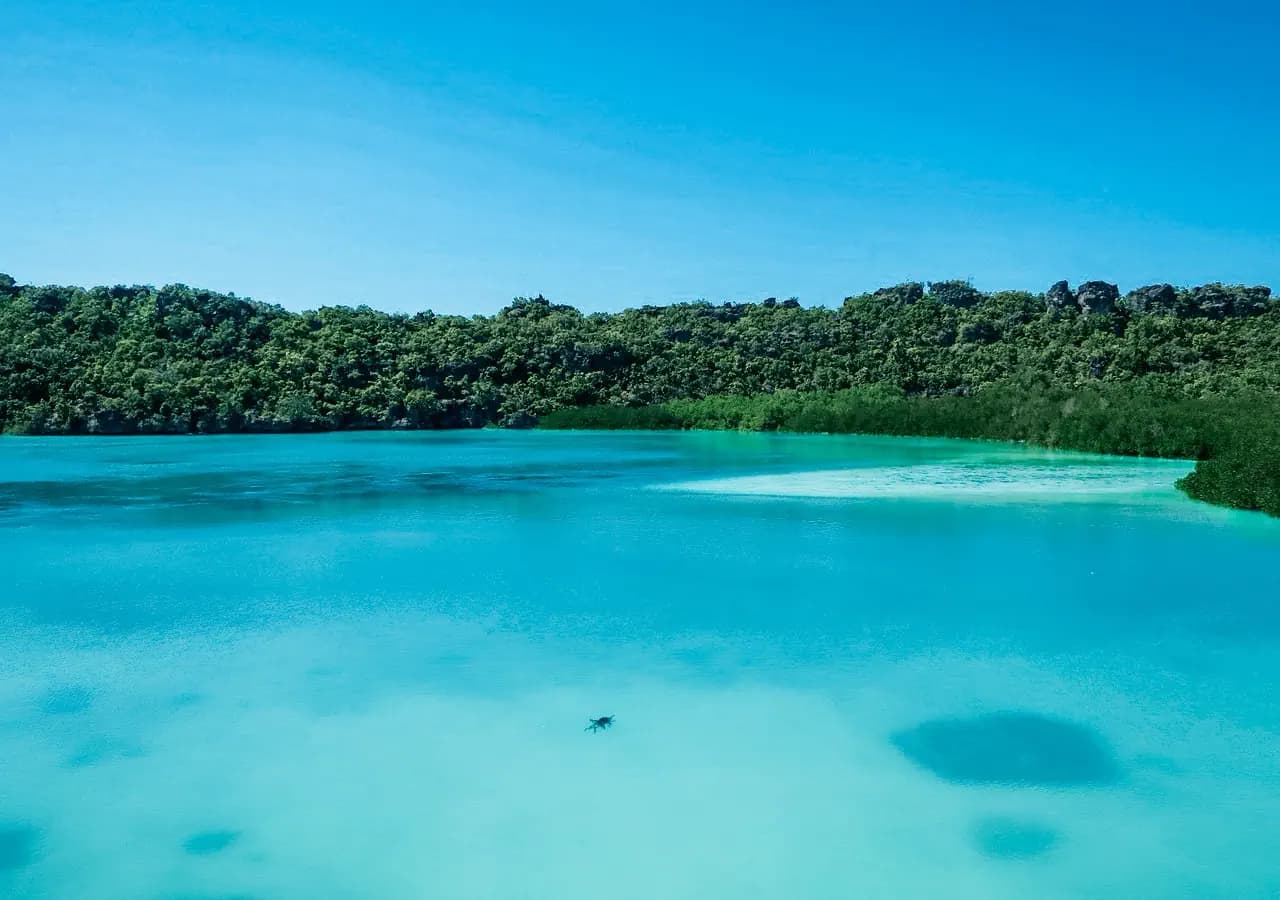 Rote Island & West Timor 3