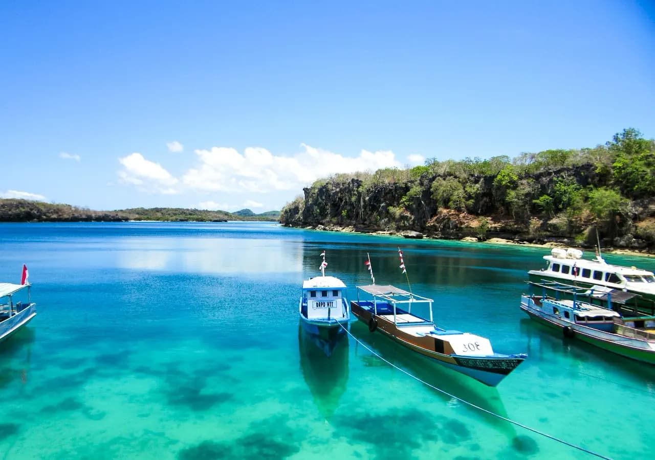Rote Island & West Timor 4