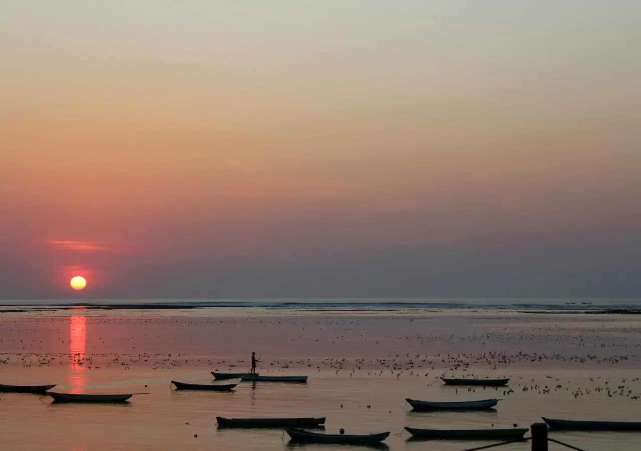 Rote Island & West Timor 6