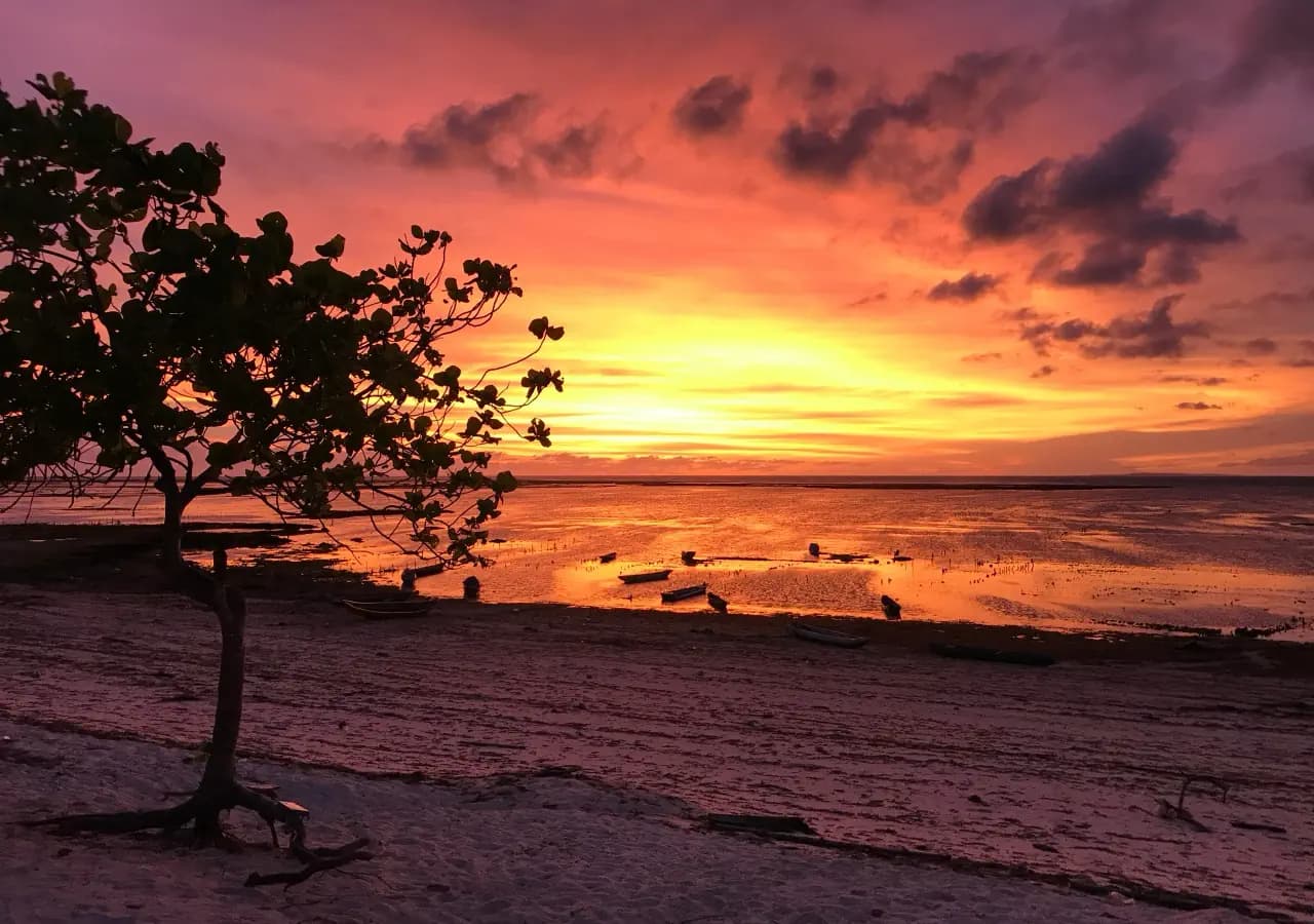 Rote Island & West Timor 9