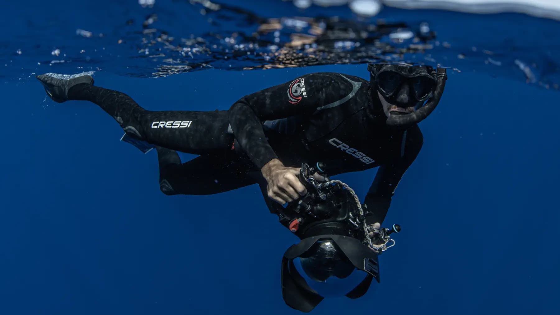 Underwater Photography Expedition with Dan Taylor | 23-26 August 2026