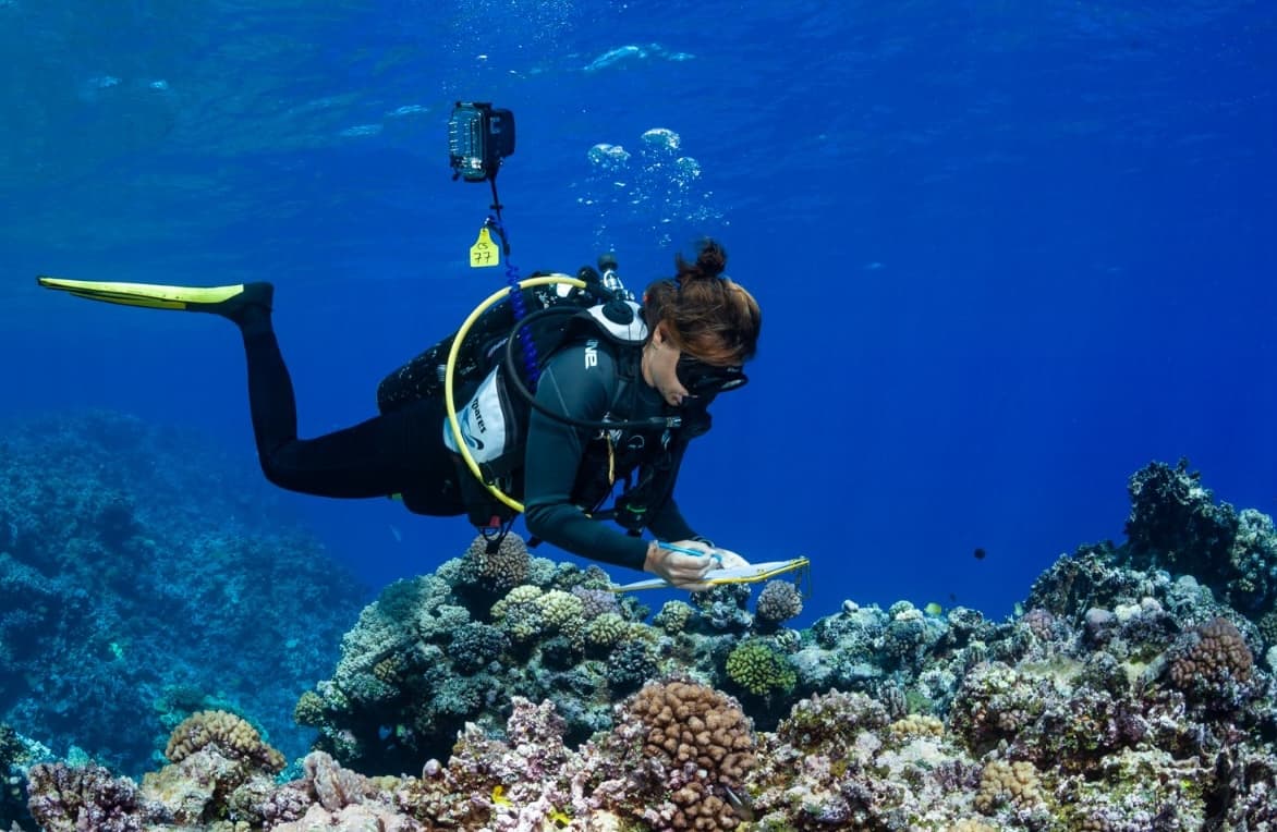 Expedition Biru | Banda Sea 5