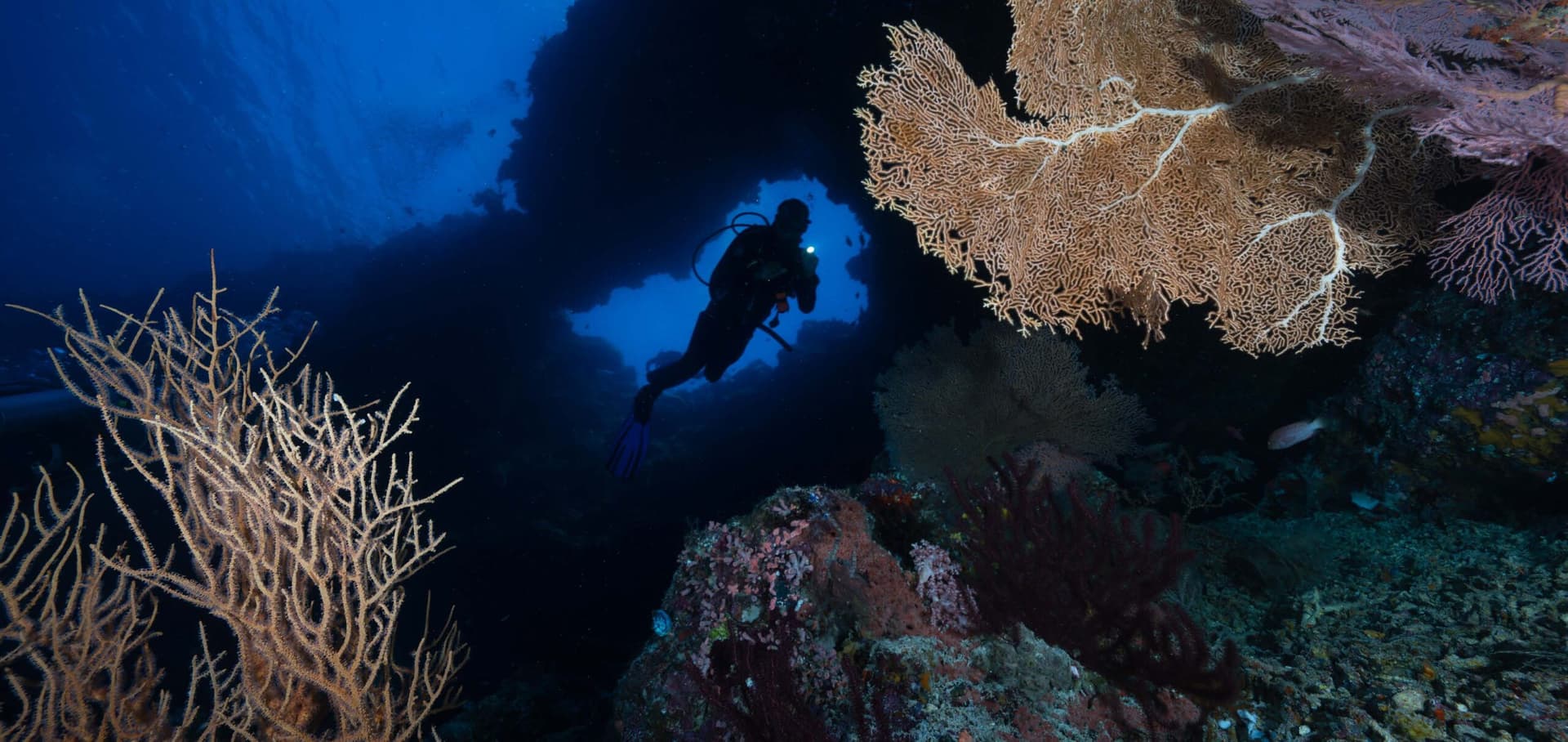 Expedition Biru | Banda Sea 8
