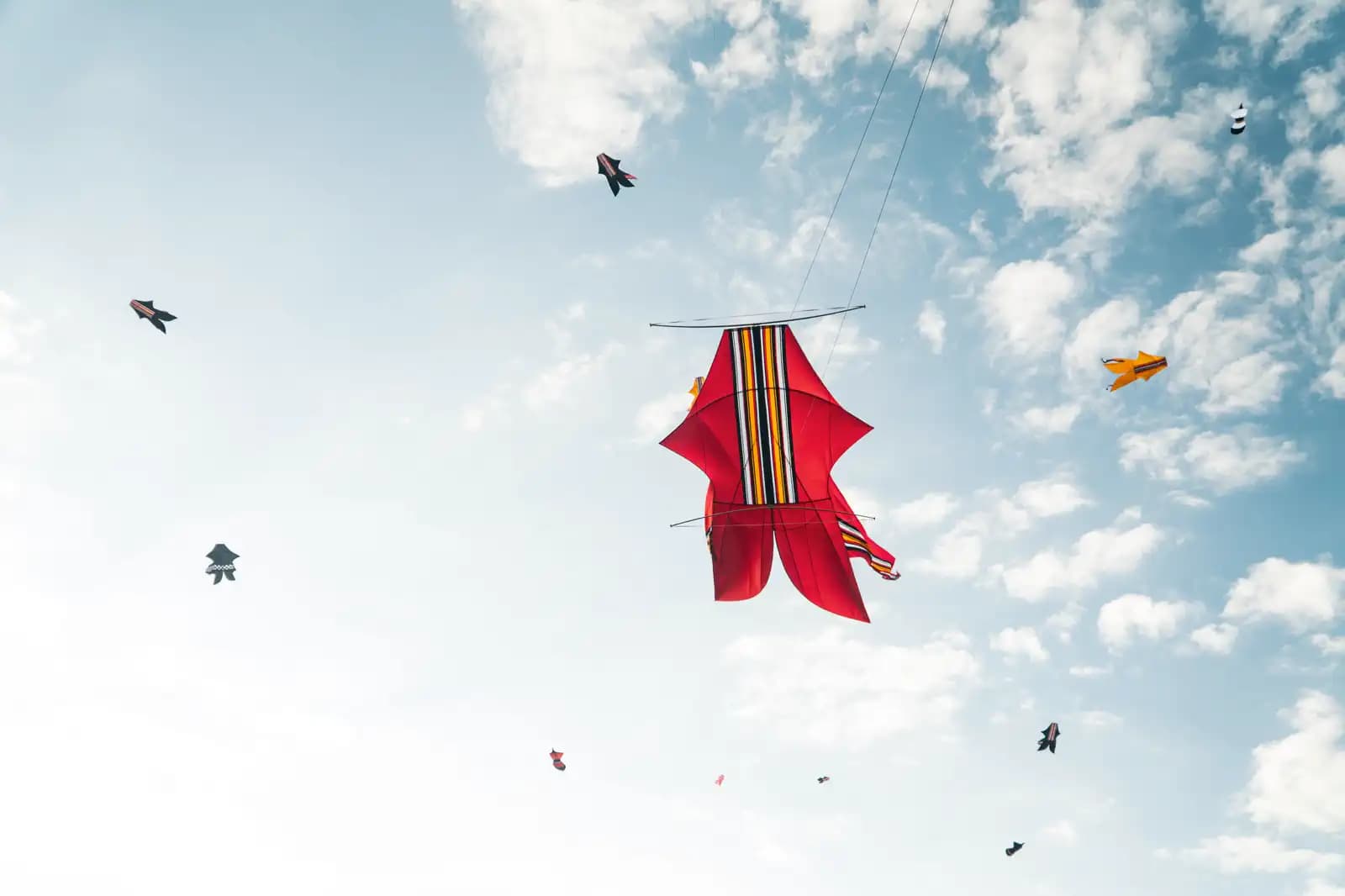 Bali Kite Festival 2026: Dates, Locations and the Tradition Behind It