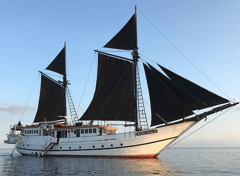 25% OFF 10-Day Raja Ampat Central & South Liveaboard – S.M.Y. Ondina | 15-24 April, 2026