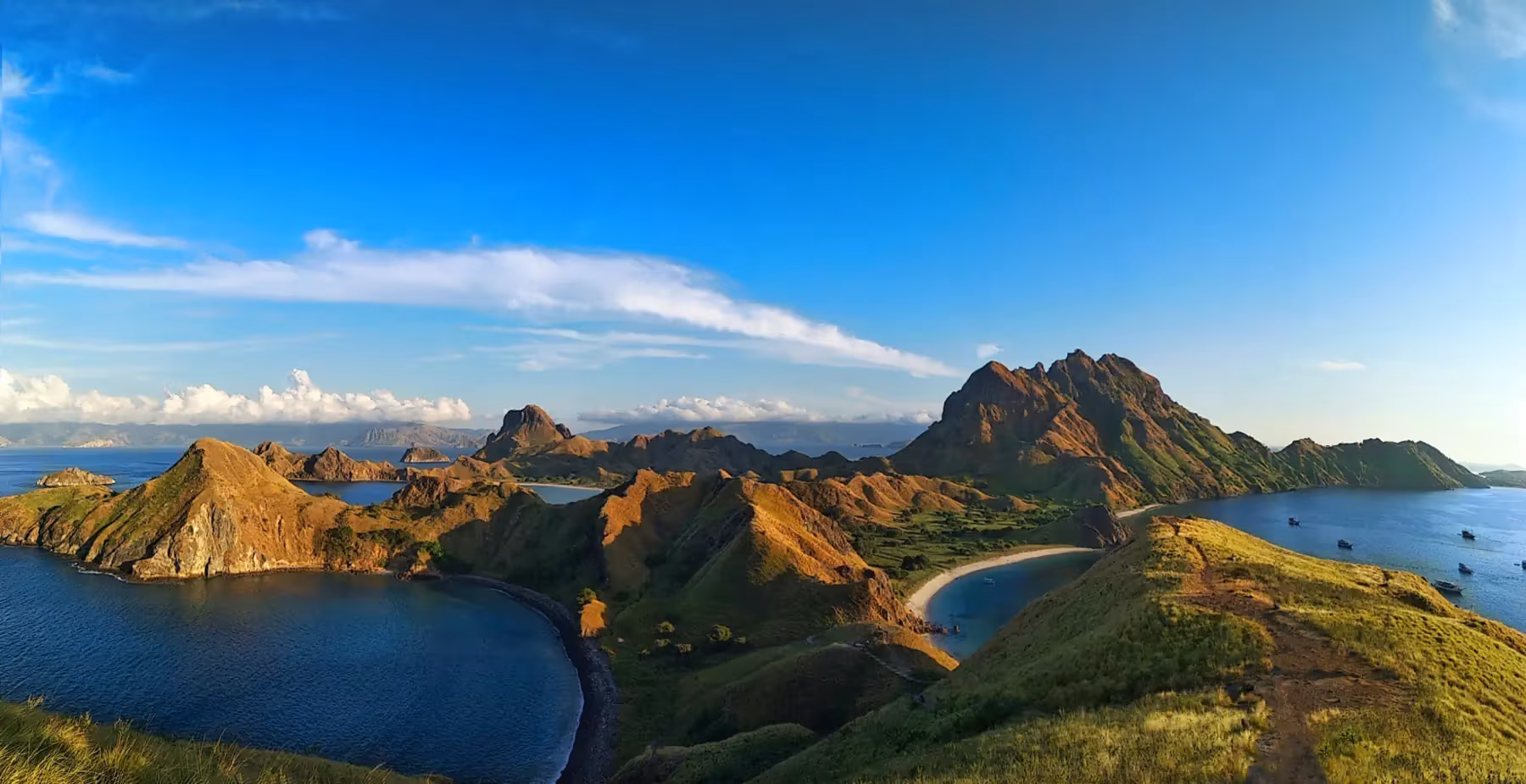 Komodo