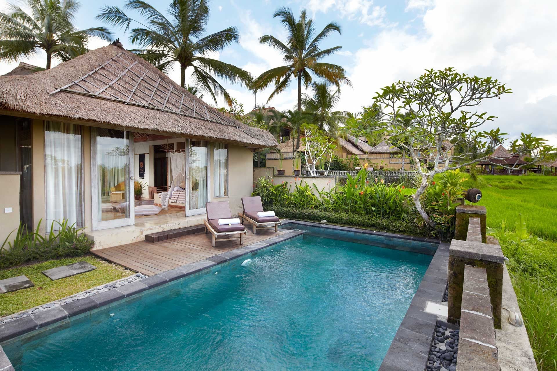 Wapa di Ume Ubud