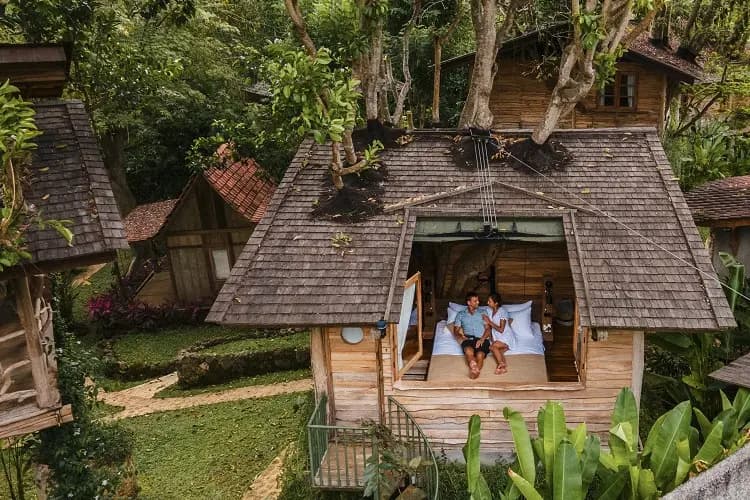 Roots Tree House