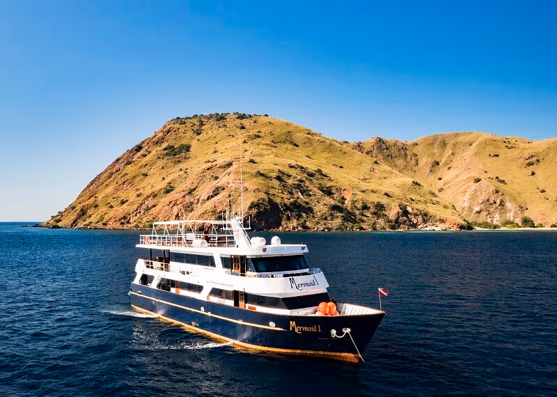 20% OFF | 10 Days Maumere – Alor Diving Liveaboard | May 16th to 25th