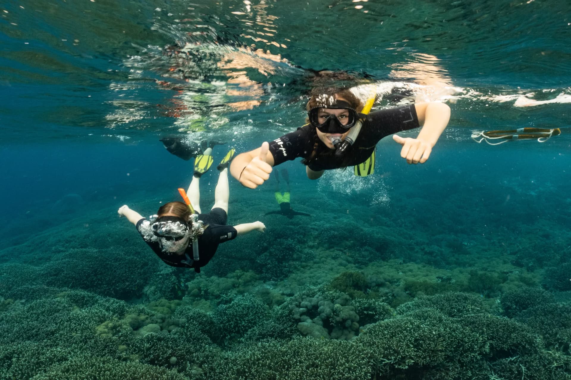 Nusa Penida Snorkeling and Land Tour