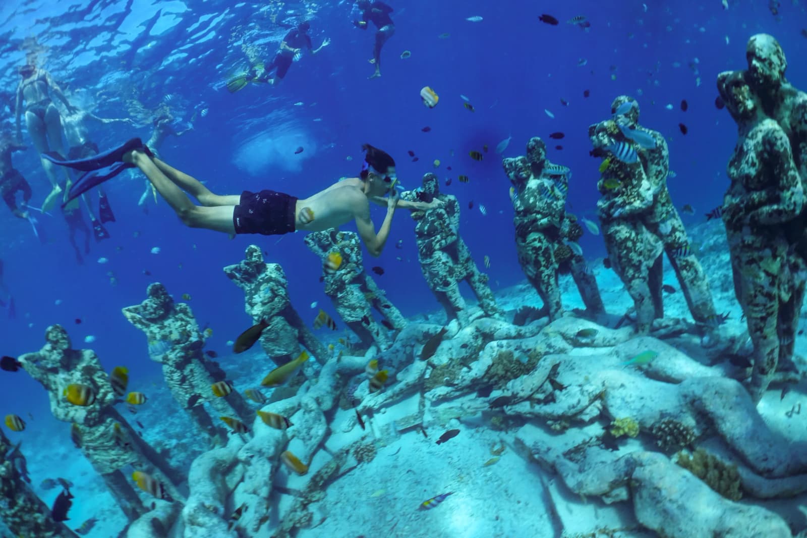 Private Snorkeling Trip Around The Gili Islands