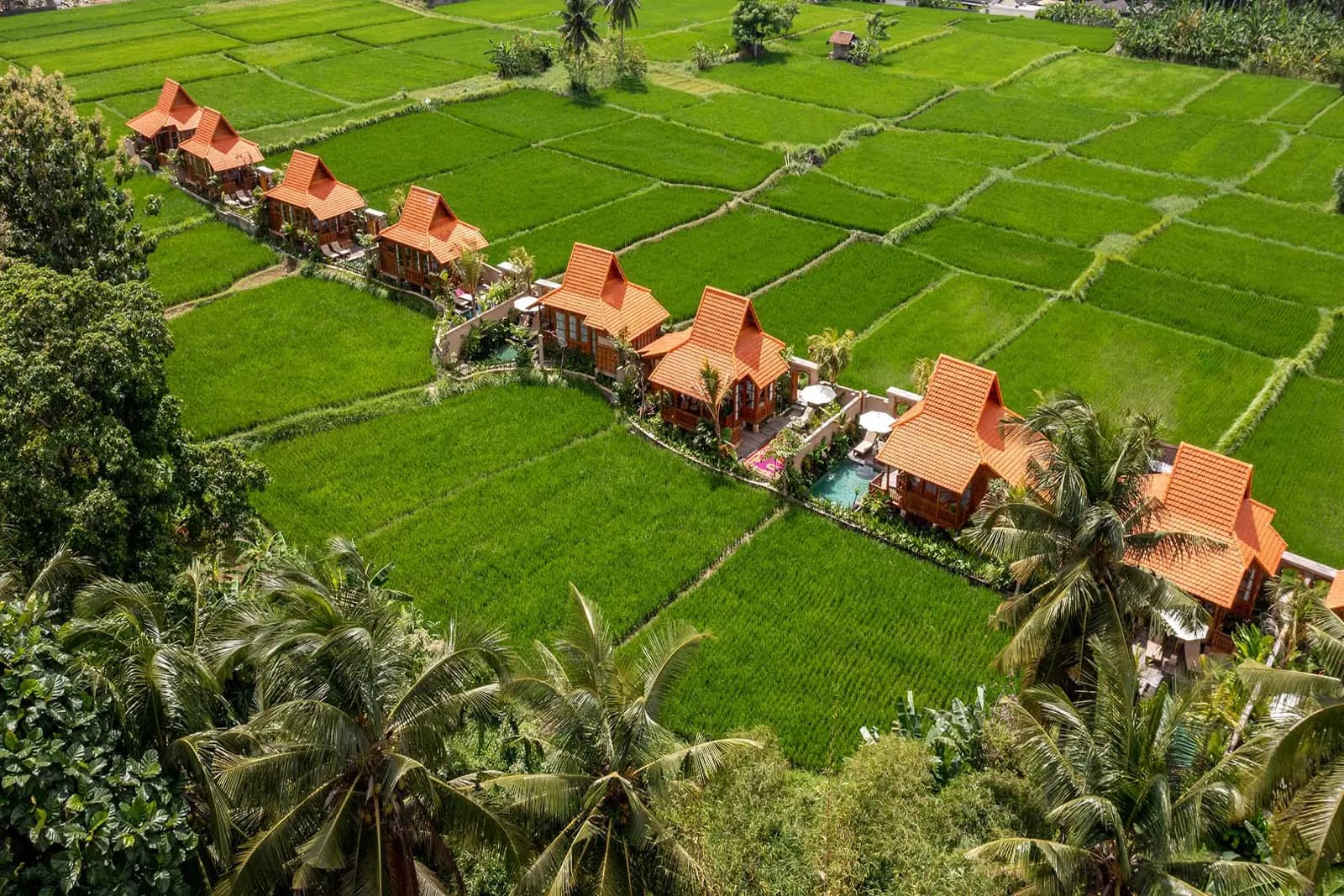 The Kalyana Ubud Resort