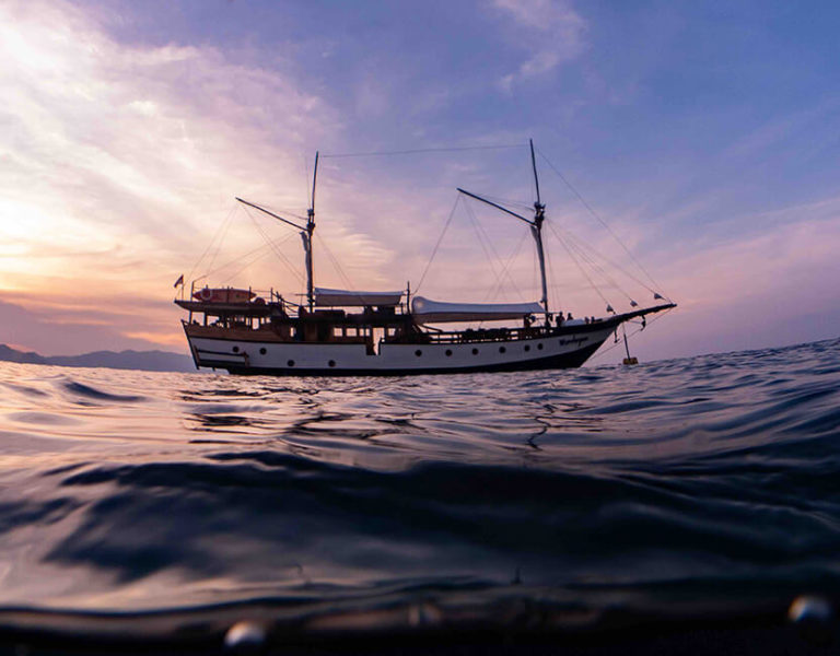 Read more about the article Last Minute Deal: -20% On 2 Komodo Liveaboard Trips With Wunderpus in June