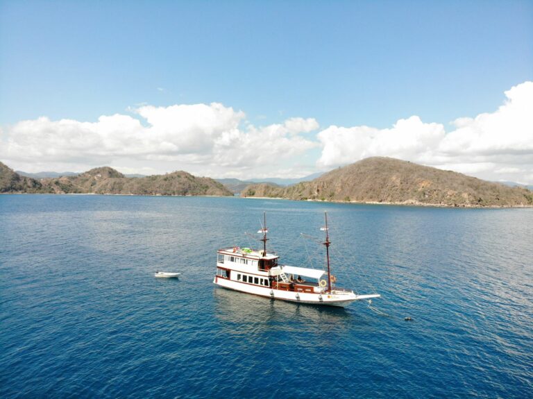 Read more about the article Last-Minute: Explore the Best of Komodo with Anthias Liveaboard from June 1st to 4th