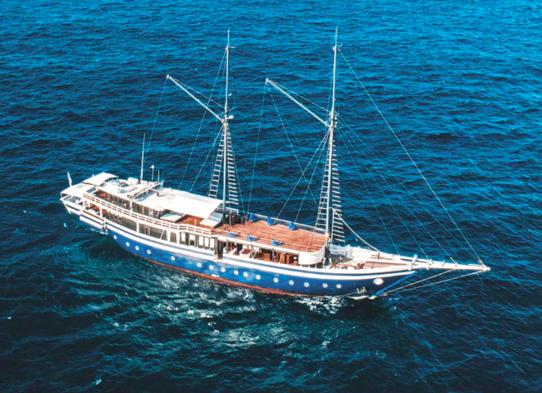 Read more about the article Last-Minute Deal: -20% On 3 Exclusive Liveaboard Trips