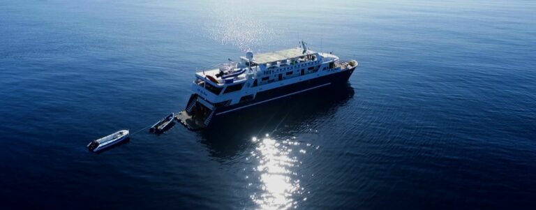 Read more about the article Last Minute Deal: -10% On 2 Komodo Liveaboard Trips With Blue Manta in June