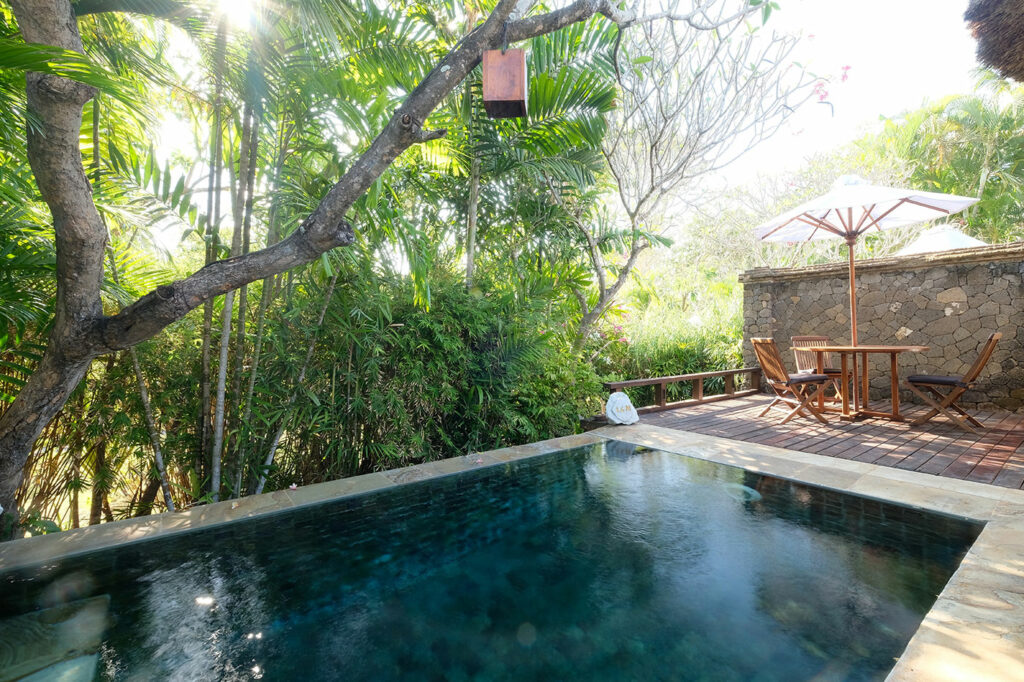 Mimpi Resort Menjangan Villa Pool