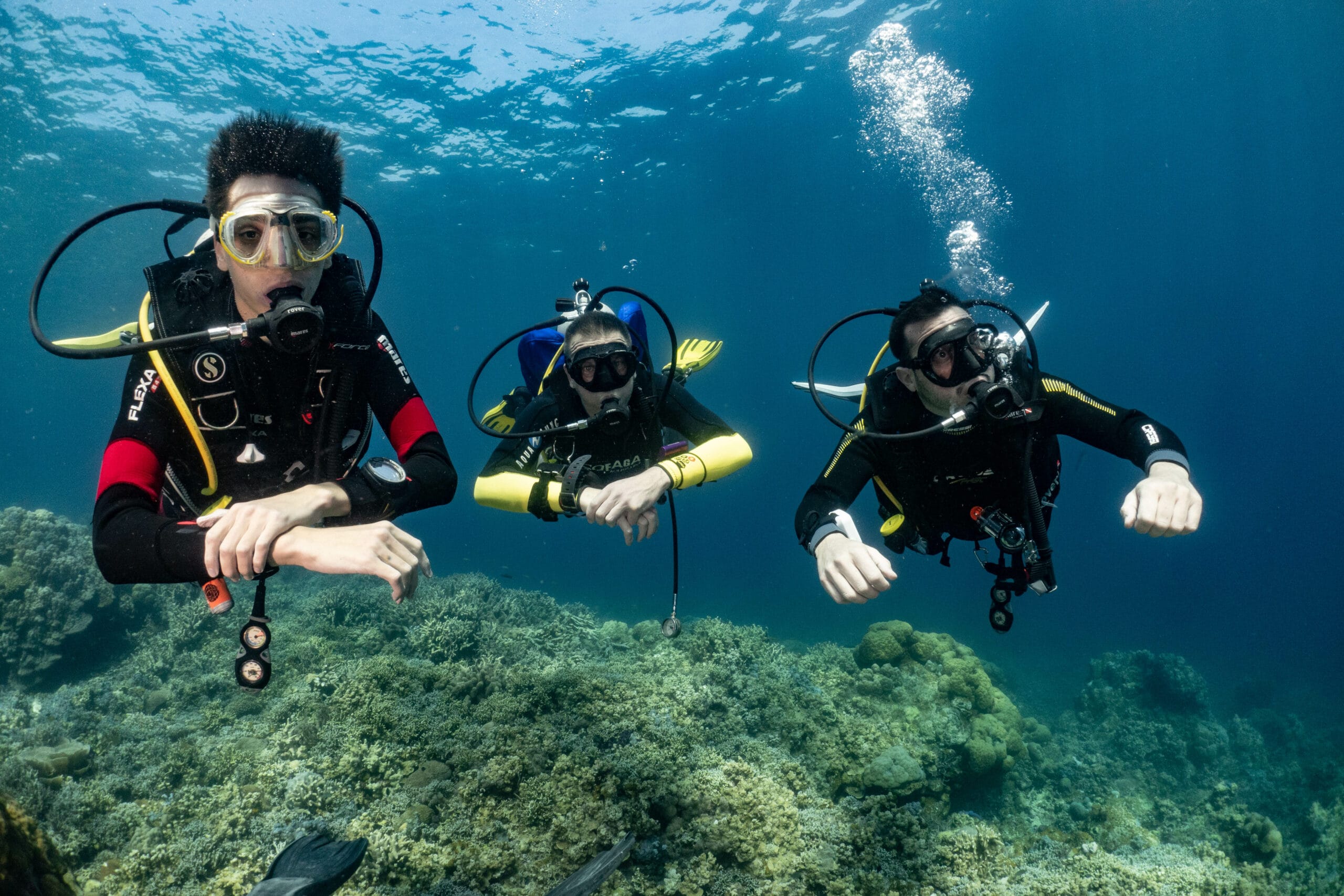Scuba divers in Komodo National Park