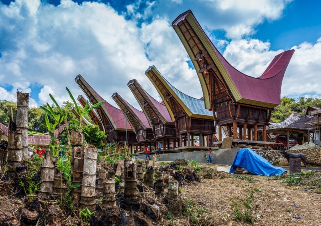 A row of tongkonan houses with upswept roofs in Tana Toraja, Sulawesi