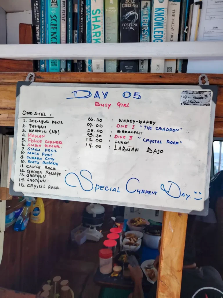 A whiteboard schedule labeled 'Day 05 Busy Girl' listing dive sites and a daily timetable, set below a shelf of books