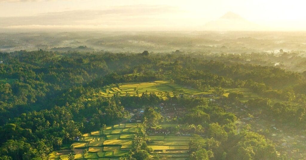 Terraced rice fields in morning haze with a volcano in the distance