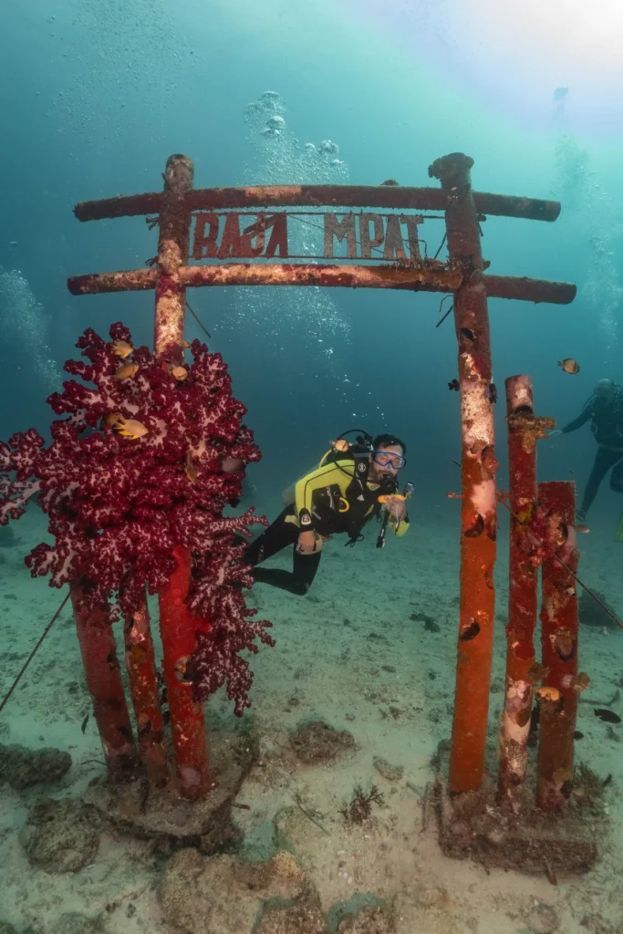 A scuba diver swims through a submerged wooden gate structure covered in vibrant red coral and small tropical fish