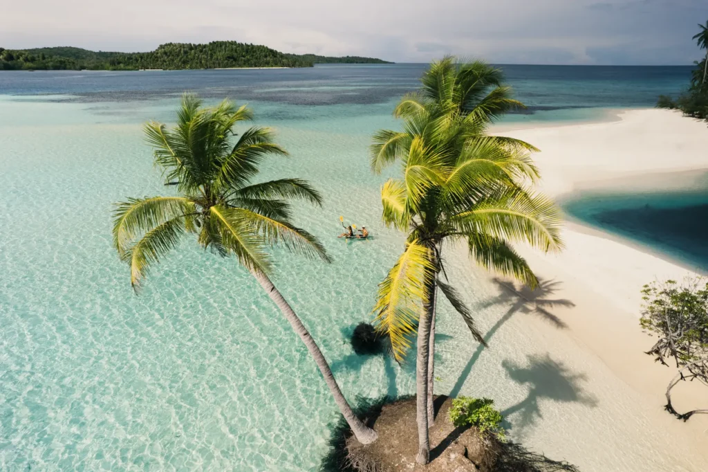 Palm trees on a white sandbar in the Mentawai Islands, from above