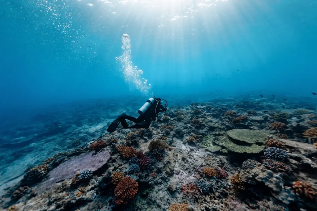 Diver over a coral reef near Awera Resort in the Mentawai Islands