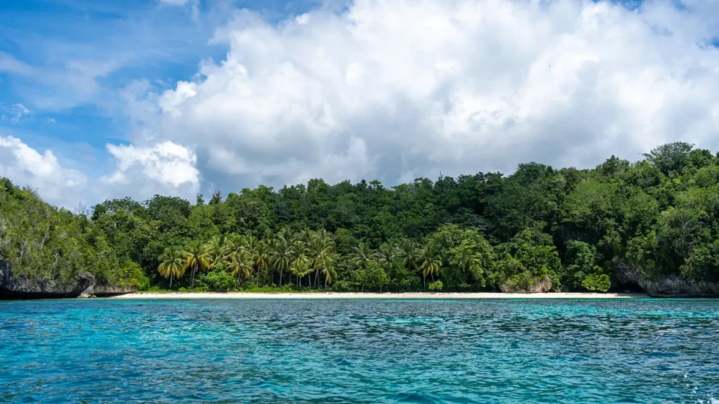 Turquoise water fronting a palm-lined tropical beach with dense forested hills and small rocky outcrops under a cloudy sky