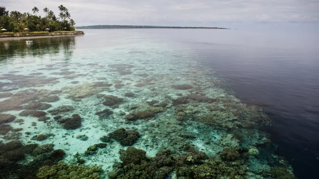 Aerial view of a shallow coral reef meeting deep blue water near a palm-lined shore under cloudy skies