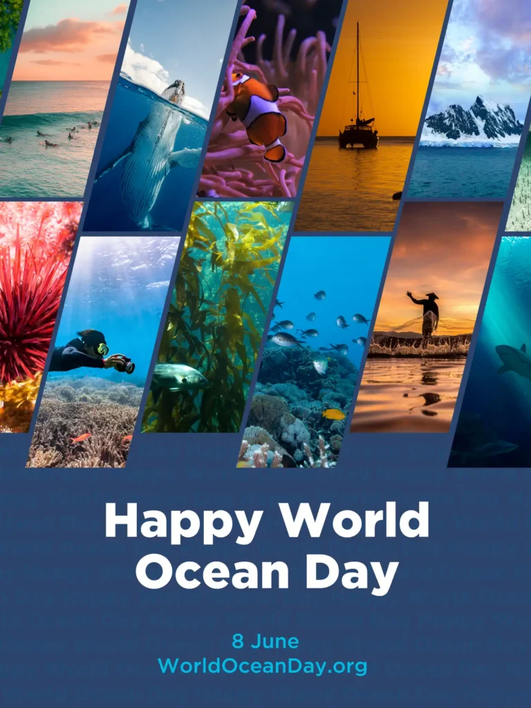 Collage of ocean scenes including surfers, a whale, clownfish in coral, a sailboat at sunset, mountains, a diver, kelp, fish and a shark, with 'Happy World Ocean Day' text