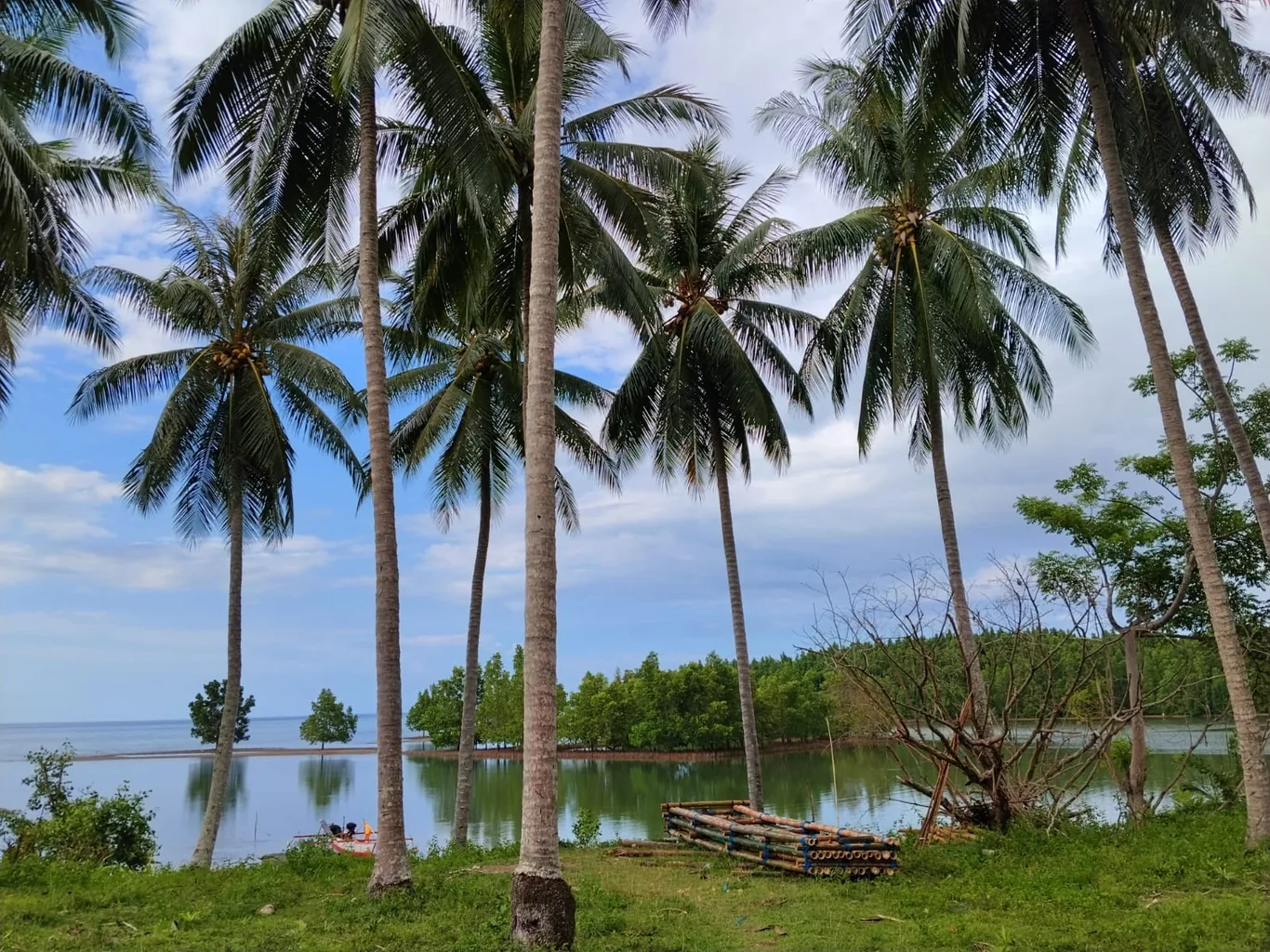 Tall coconut palms frame a calm inlet with a wooden bamboo raft and mangrove-lined shore under a partly cloudy sky