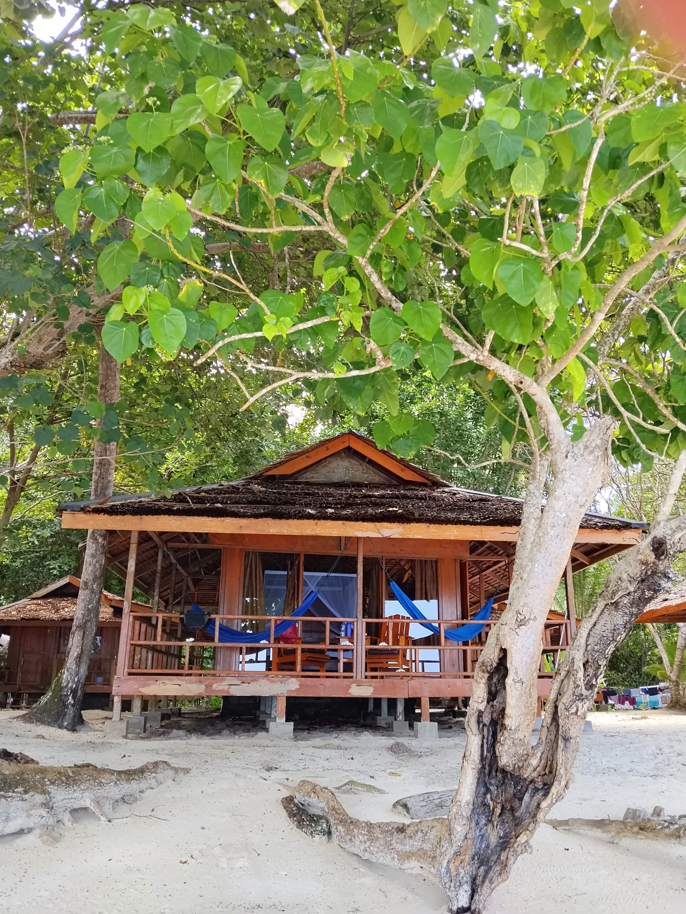 A wooden beach bungalow on stilts with a thatched roof and blue hammocks on its porch, framed by tree branches