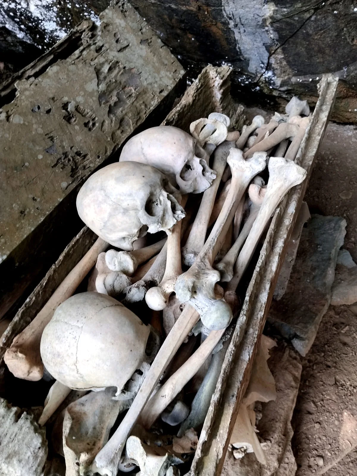 A cliff burial site in Tana Toraja, Sulawesi
