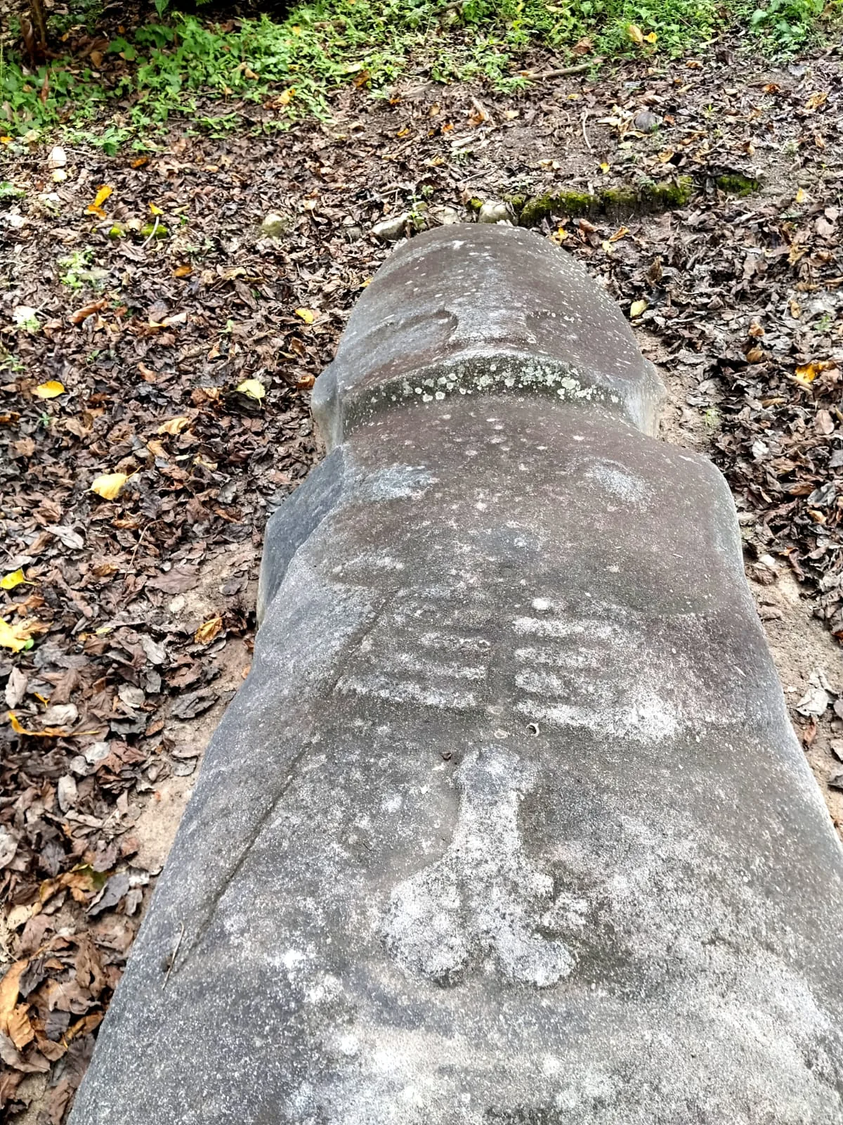 Overhead view of an ancient stone figure carved with faint facial features and rib-like markings, lying among fallen leaves