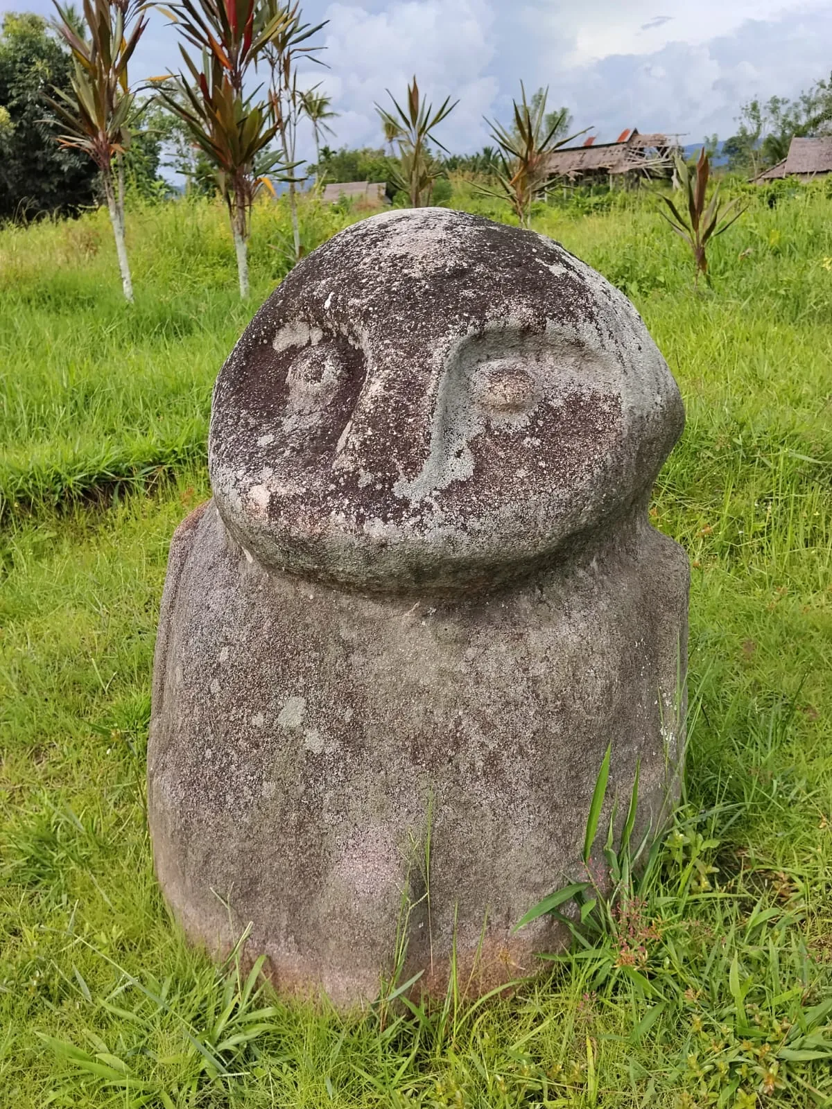 A weathered stone statue with carved facial features stands in a grassy field, palm trees and rooftops visible in the background