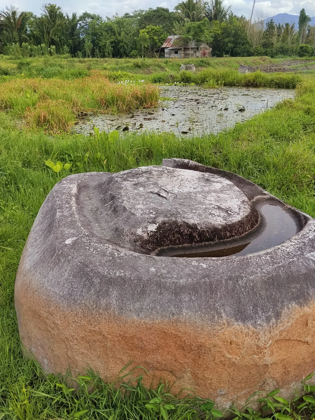 Large weathered stone vat with a carved lid holding rainwater, sitting in a grassy field near a pond and distant house