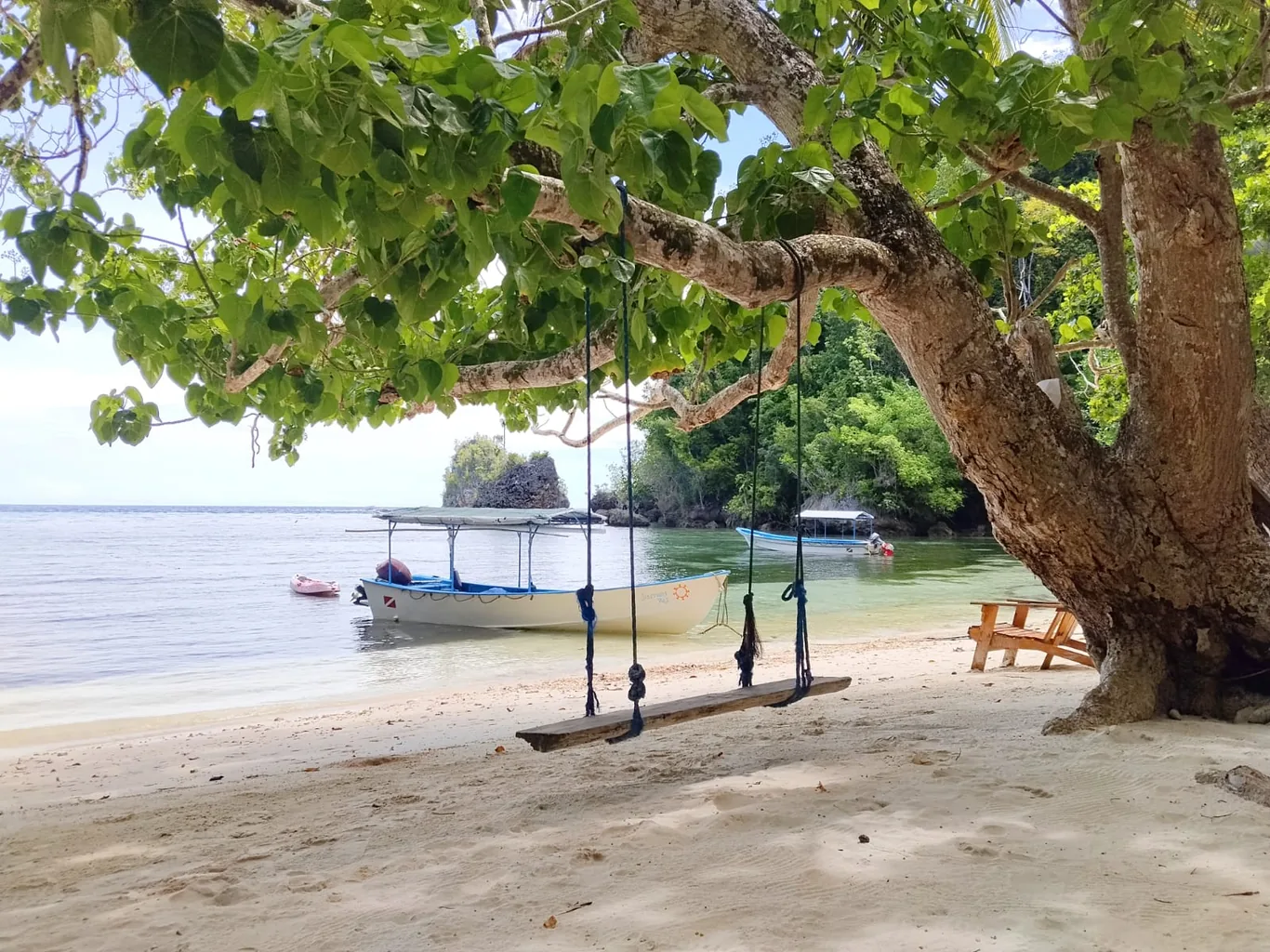 A wooden rope swing hangs from a beachside tree overlooking a moored boat and calm turquoise water