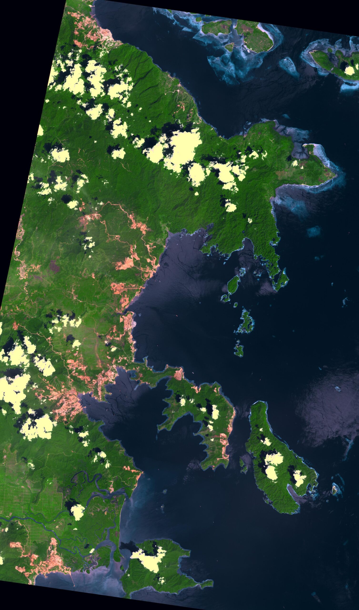 Satellite image showing nickel mining clearings cutting into forest in Sulawesi
