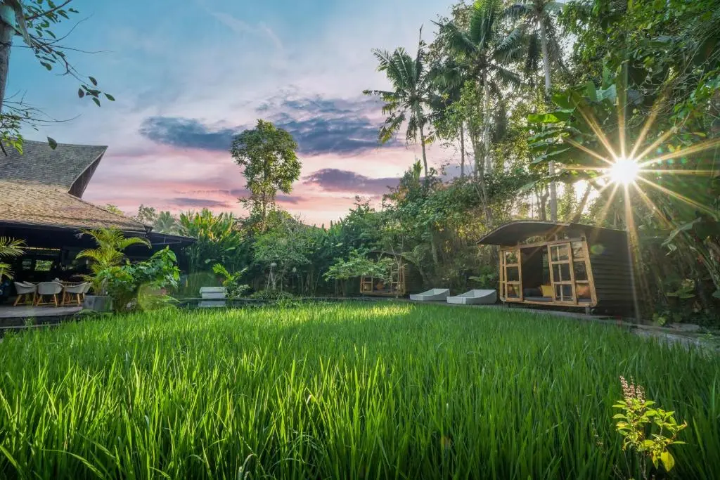 Rice field in front of a wooden villa at sunset at Surya Kembar Villas