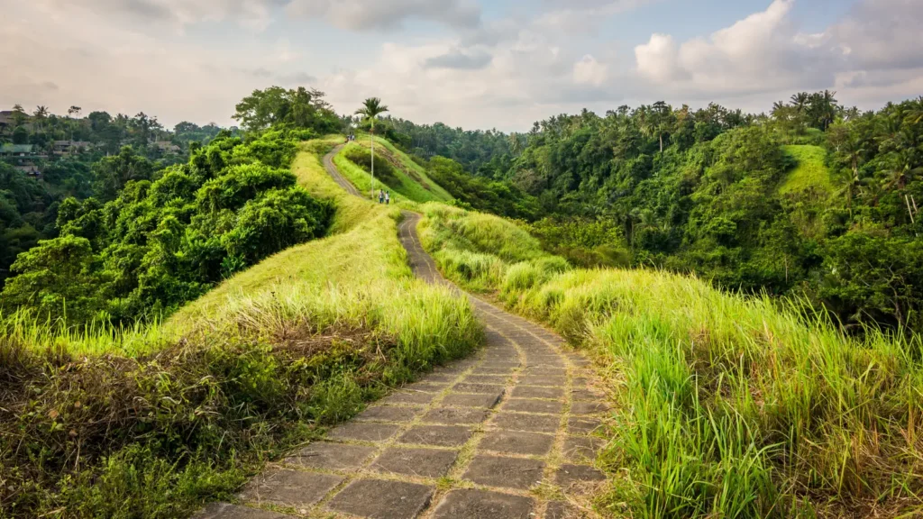 Paved path along the grassy Campuhan Ridge between two jungle valleys