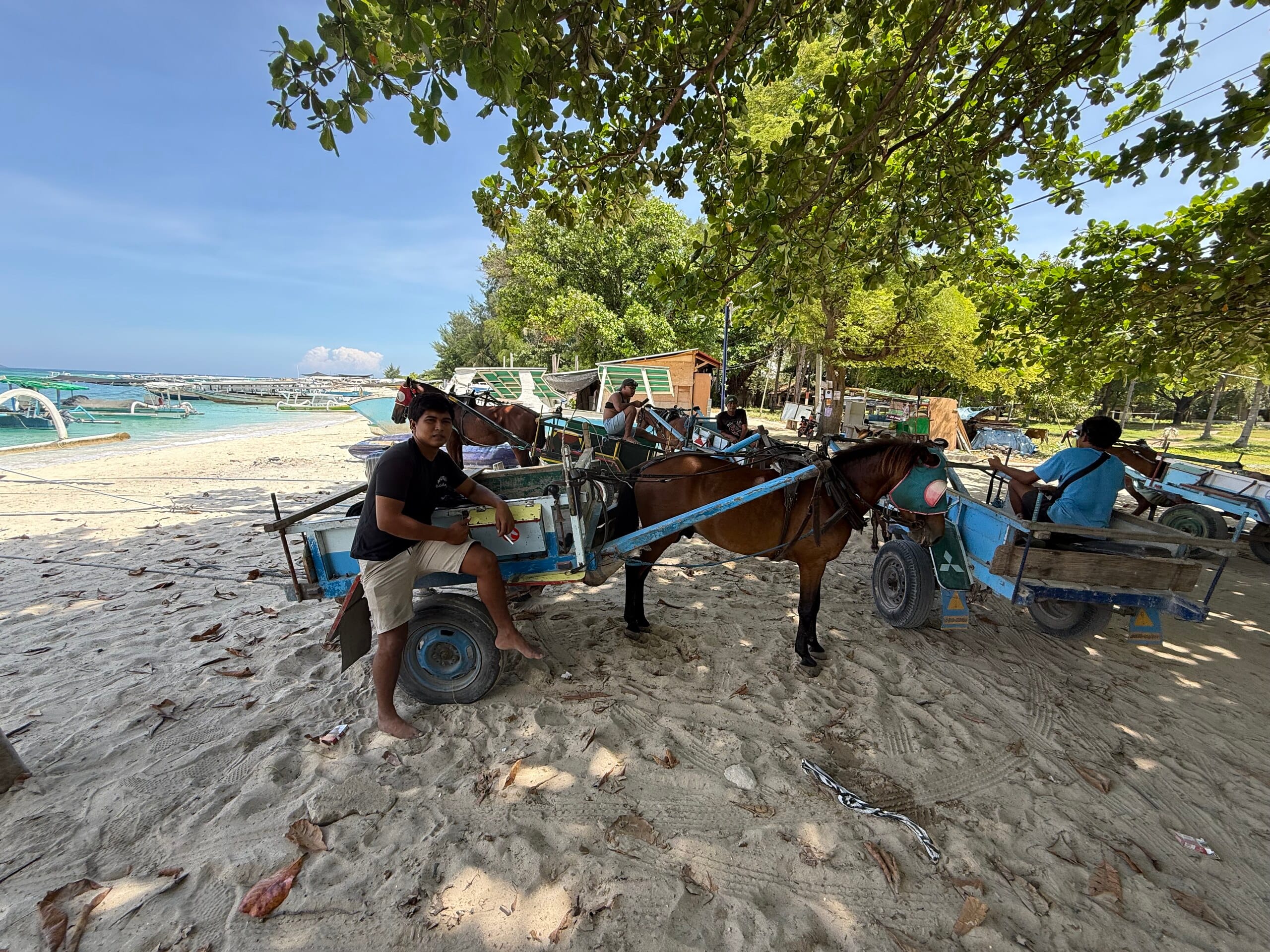 A horse cart on the beach at Gili Air