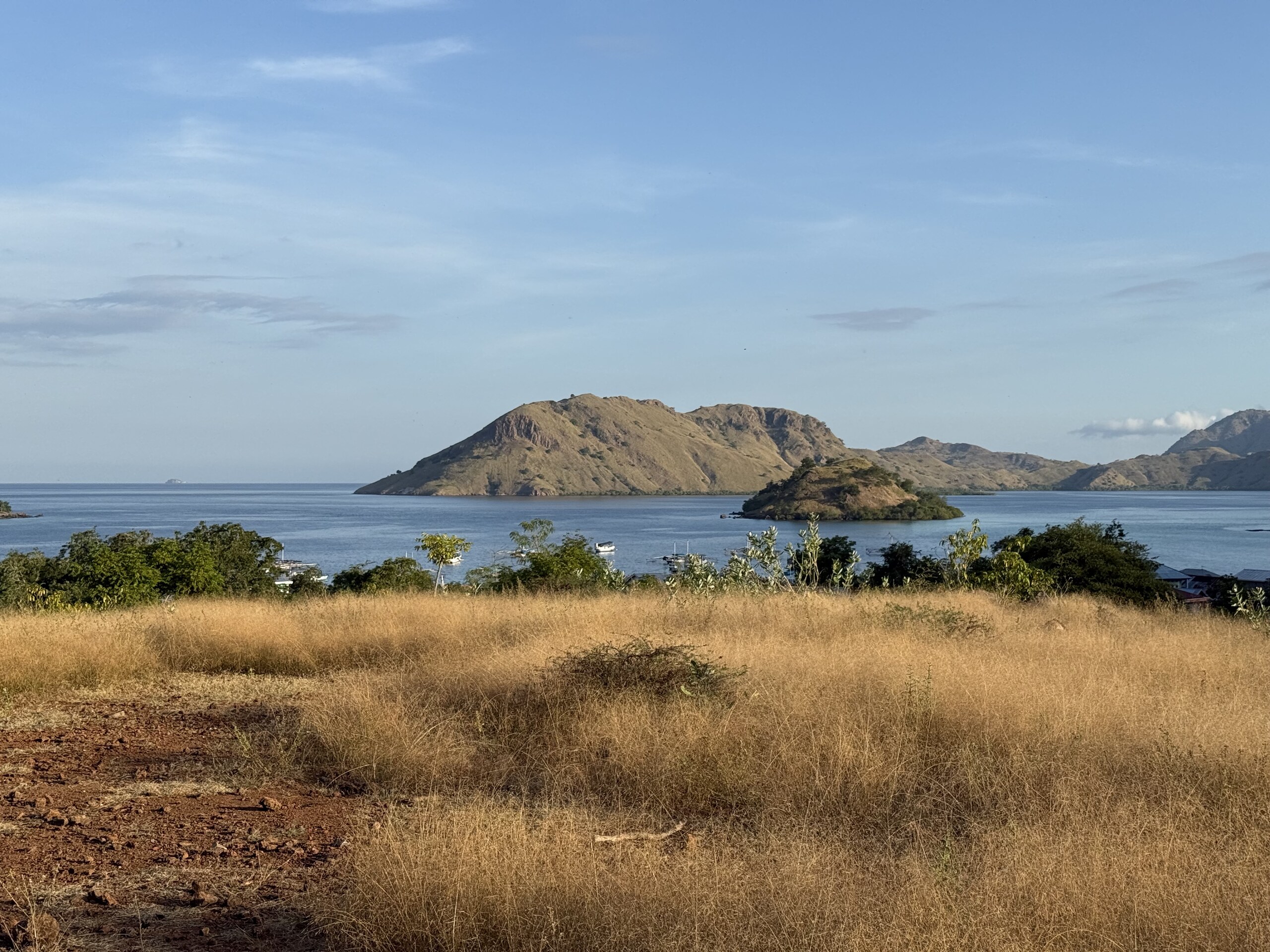 Dry savanna grass in the foreground and the islands of the Komodo archipelago beyond