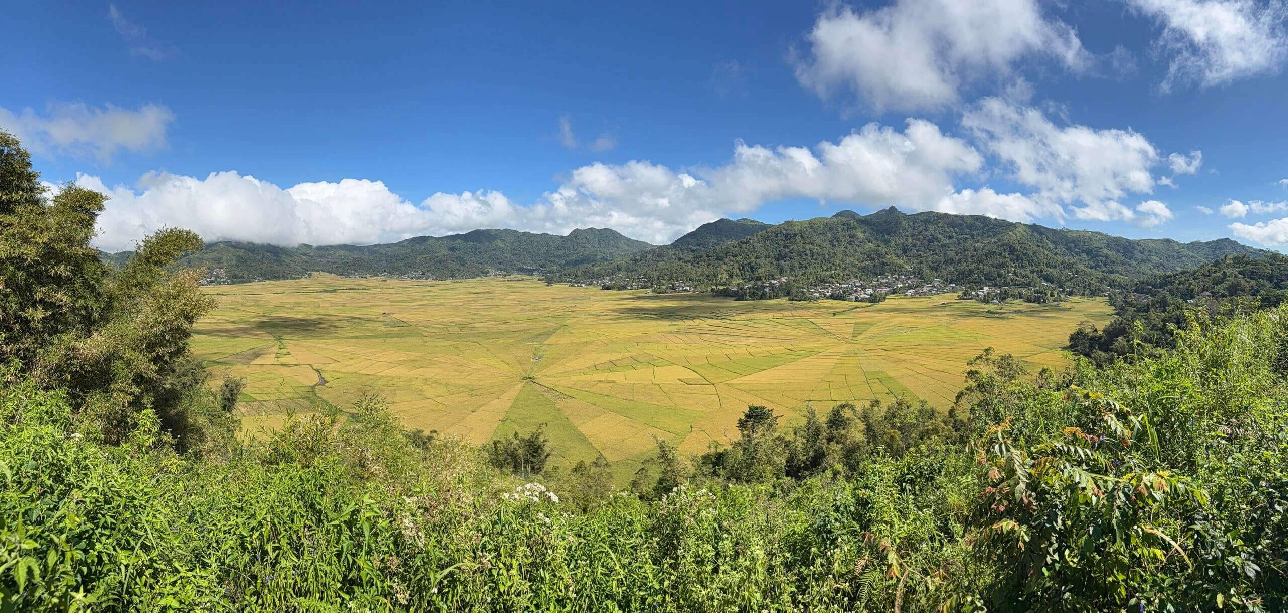 A wide savanna valley on Komodo with hills on both sides