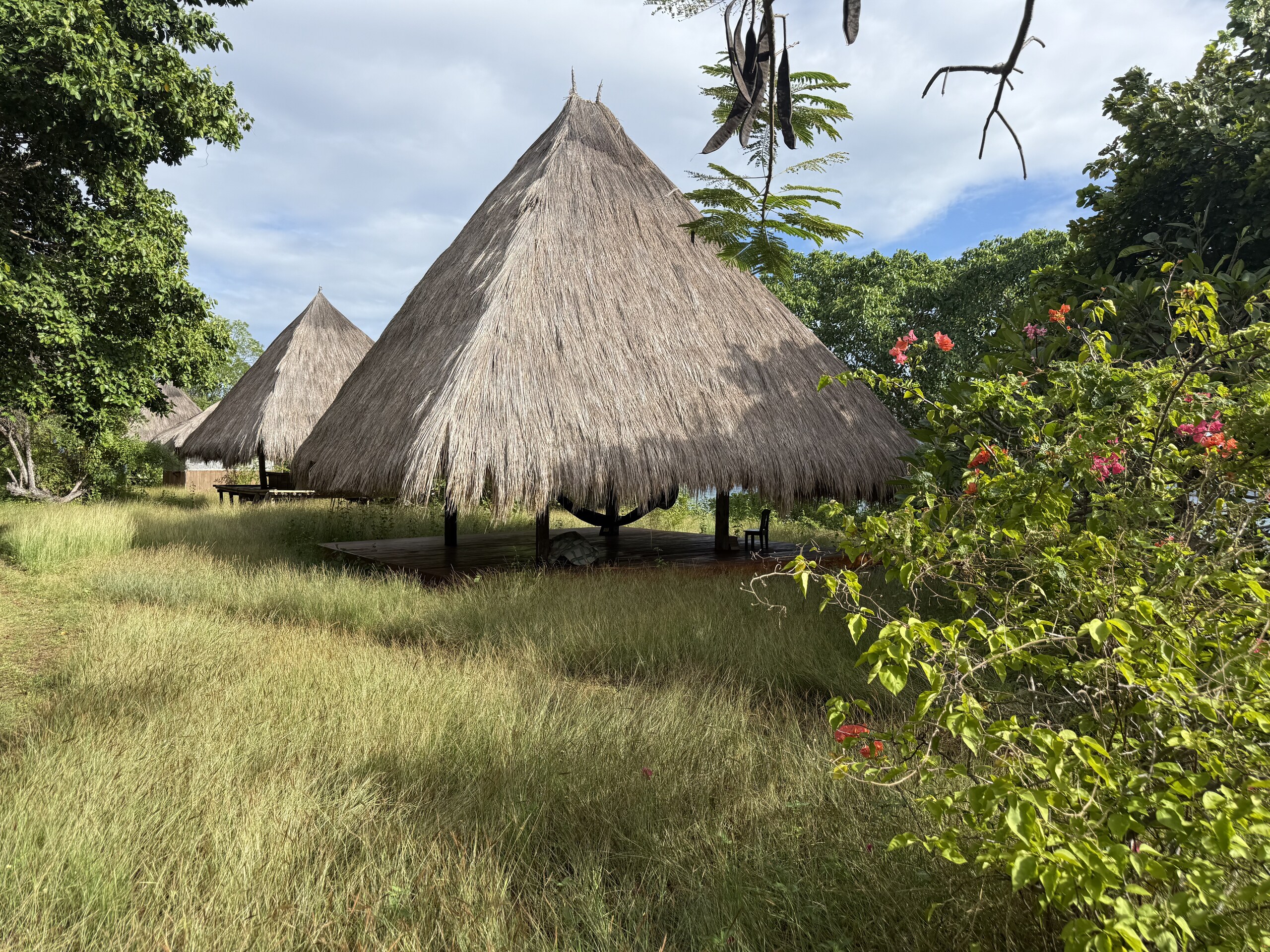 Thatched bamboo huts among the trees at La P'tite Kepa on Kepa island