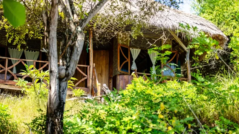 An Exclusive Deluxe bungalow at La P'tite Kepa, thatched roof among the trees