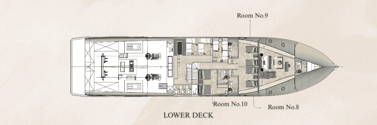 Aruna Odyssey lower deck plan with cabins 8, 9 and 10