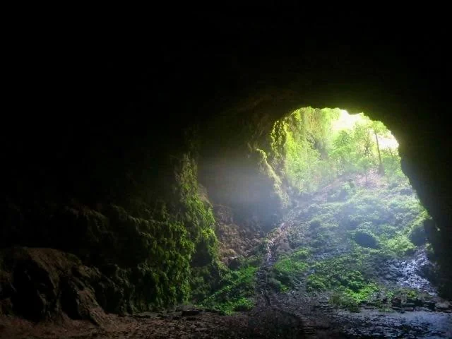 Daylight entering through the collapsed roof of Jomblang Cave in Gunungkidul